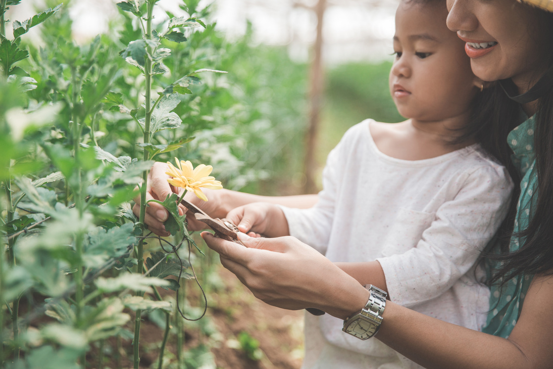 Farming with Kid