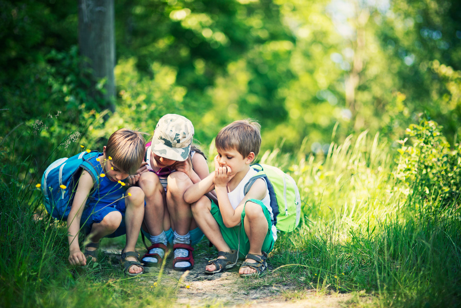 Kids observing bugs in forest